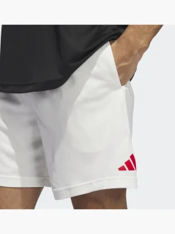 Basketball Badge of Sport Shorts