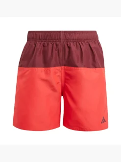 Colorblock Kids 4.5-Inch Badeshorts