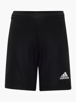 ENTRADA Shorts