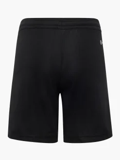 ENTRADA Shorts