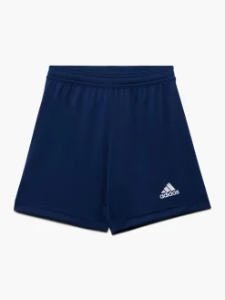 ENTRADA Shorts