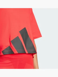 Essentials Big Logo Boyfriend T-Shirt