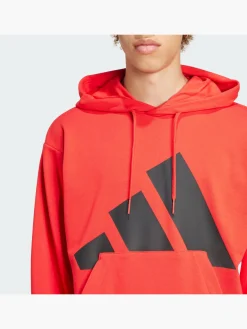 Essentials Big Logo French Terry Hoodie