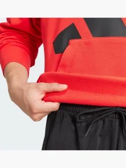 Essentials Big Logo French Terry Hoodie