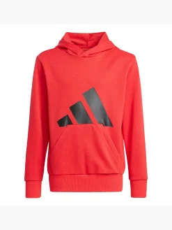 Essentials Kids Hoodie