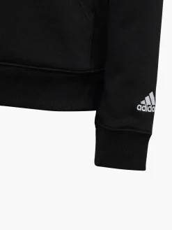 Essentials Linear Hoodie