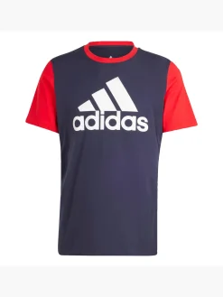 Essentials Single Jersey Big Logo T-Shirt