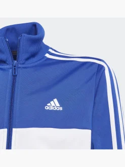 Essentials 3-Streifen Tiberio Trainingsanzug