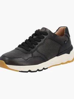 Herren Sneaker Low