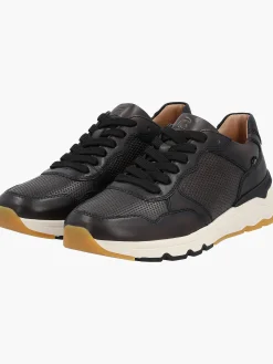 Herren Sneaker Low