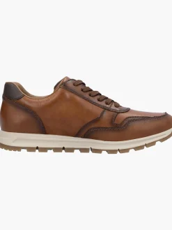 Herren Sneaker Low