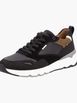 Herren Sneaker Low
