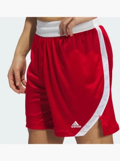 Icon Squad Shorts