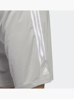 Legends 3-Streifen Basketball Shorts