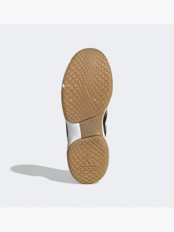 Ligra 7 Indoor Schuh