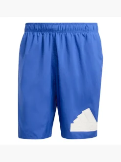 Logo CLX Badeshorts