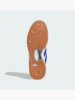 Spezialist Indoor Schuh