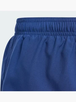 Sportswear Essentials Logo CLX Kids Badeshorts