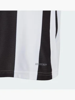 Striped 24 Kids Trikot