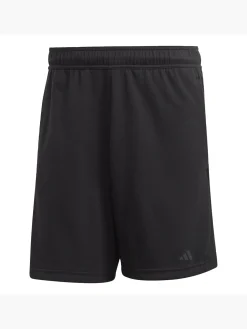 Yoga Base Training Shorts